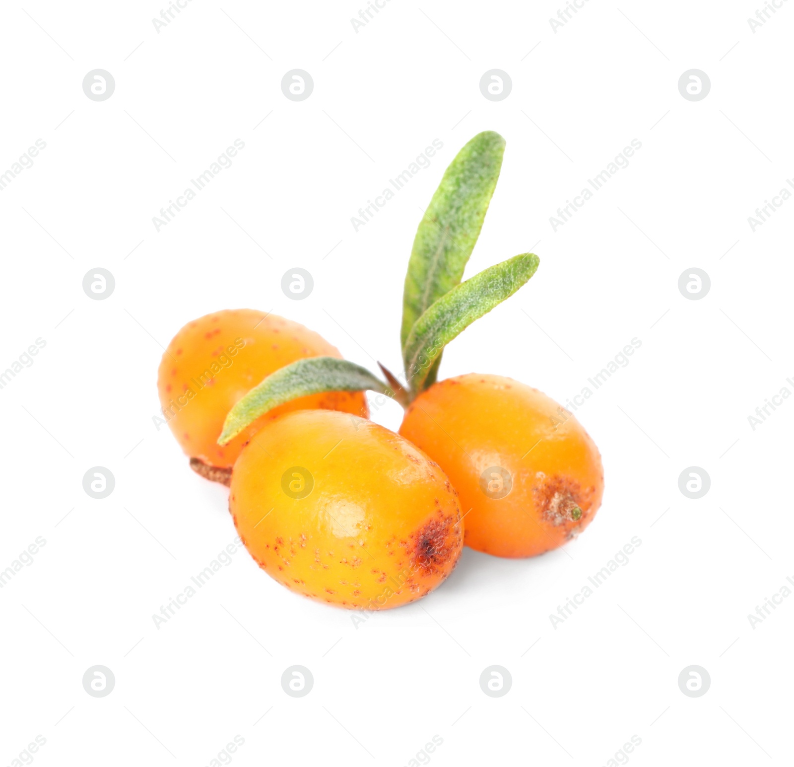 Photo of Fresh ripe sea buckthorn berries with leaves on white background