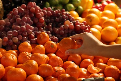 Photo of Woman picking fresh tangerine at market, closeup