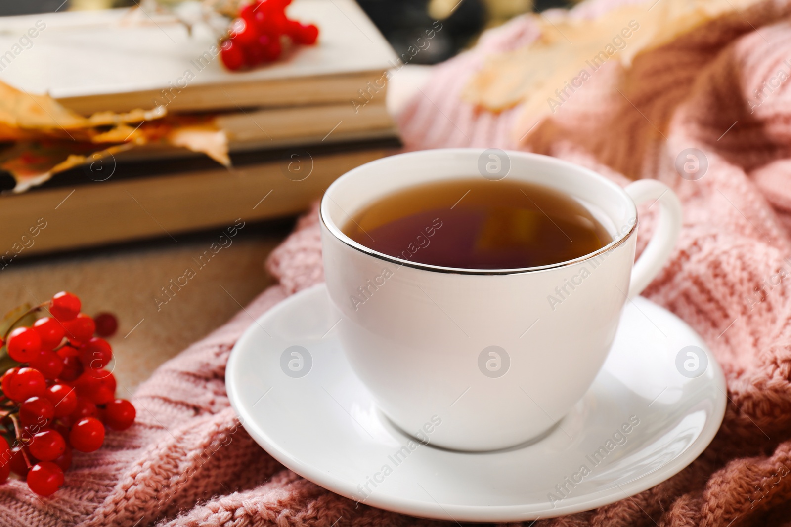 Photo of Cup of aromatic tea and viburnum on soft pink sweater. Autumn atmosphere