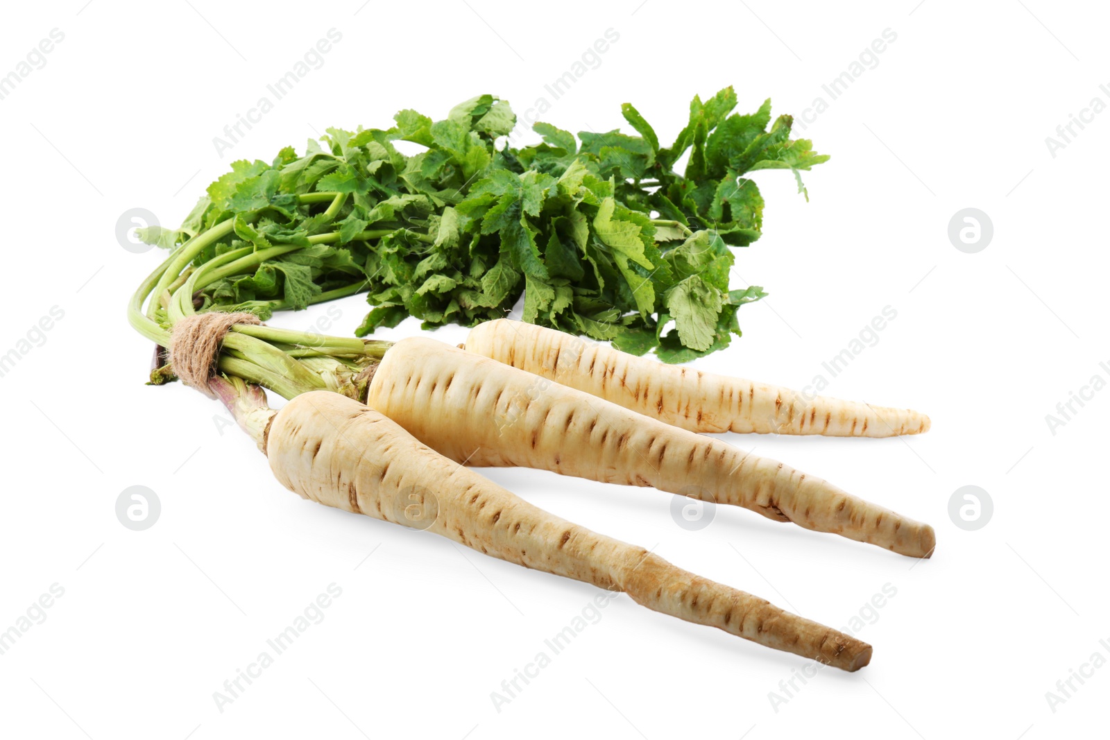 Photo of Tasty fresh ripe parsnips on white background