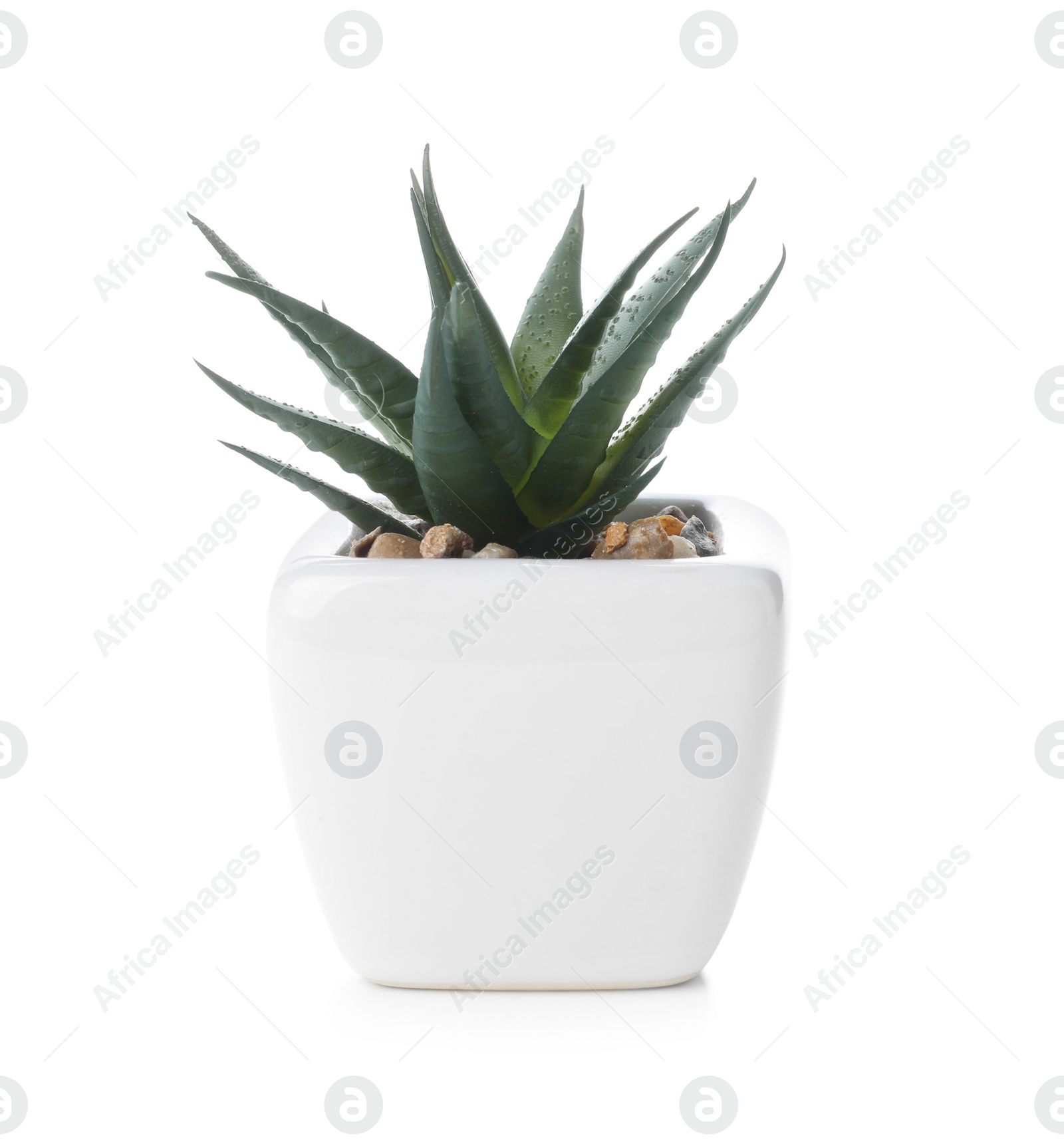 Photo of Beautiful artificial plant in flower pot isolated on white