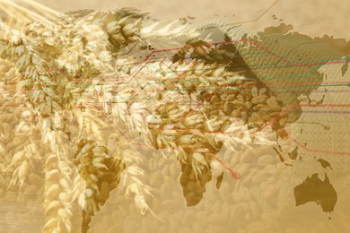 Image of Grain prices. Ears of wheat, seeds, world map and graph, multiple exposure