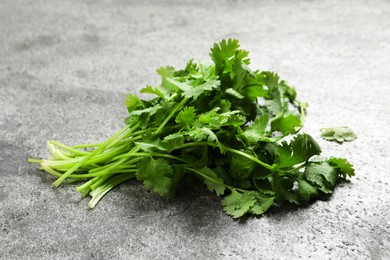 Photo of Bunch of fresh aromatic cilantro on grey table