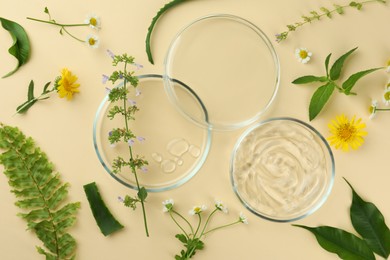 Photo of Flat lay composition with Petri dishes and plants on beige background