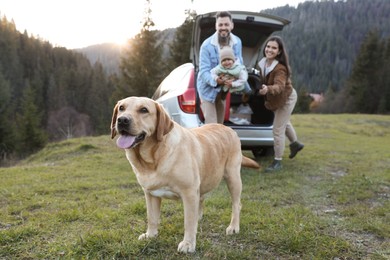 Parents with their daughter and dog in mountains. Family traveling with pet