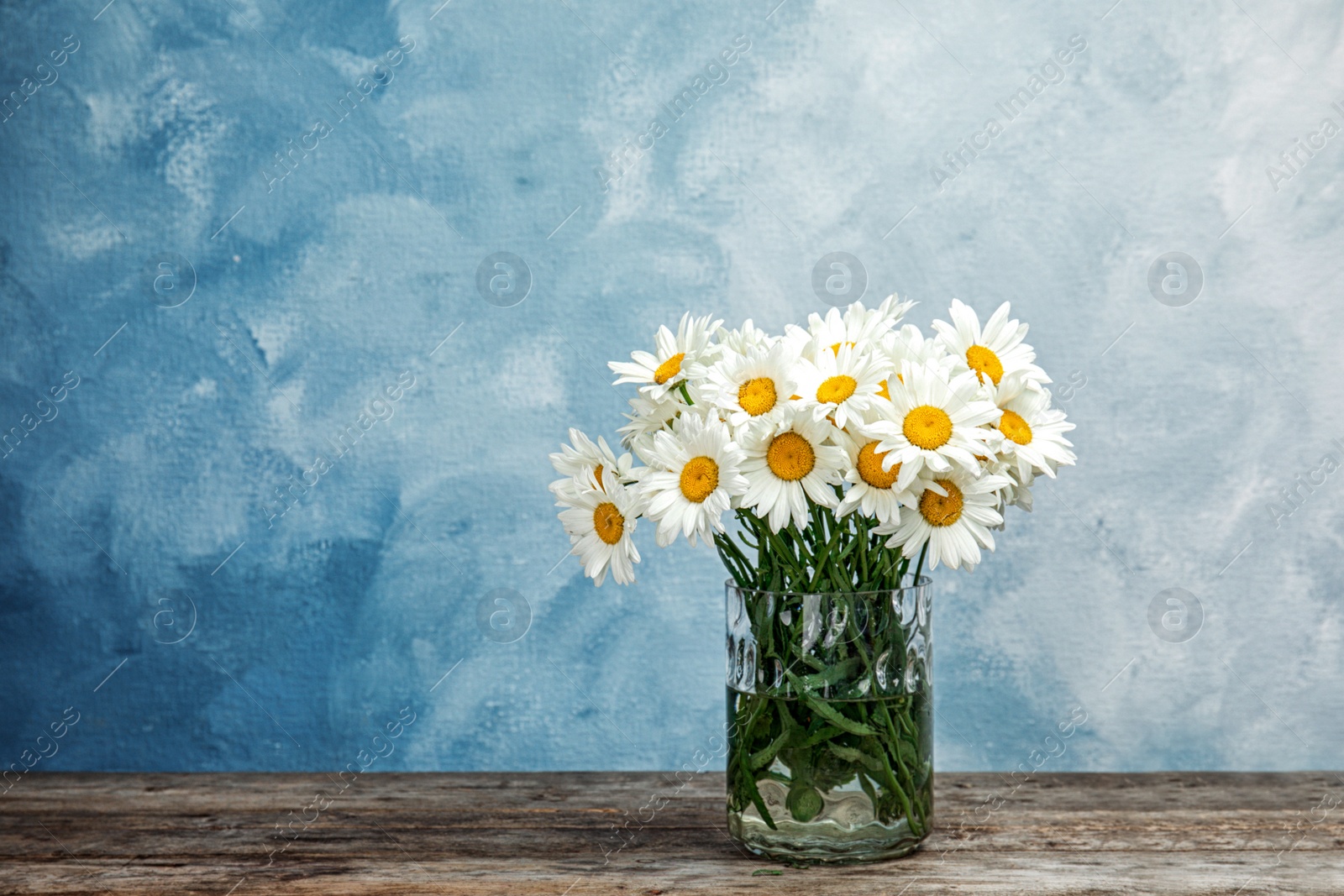 Photo of Vase with beautiful chamomile flowers on table against color background