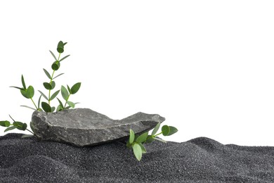 Photo of Presentation of product. Stone podium and green branches on black sand against white background