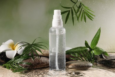 Photo of Wet bottle of micellar water, leaves, flower and spa stones against green background