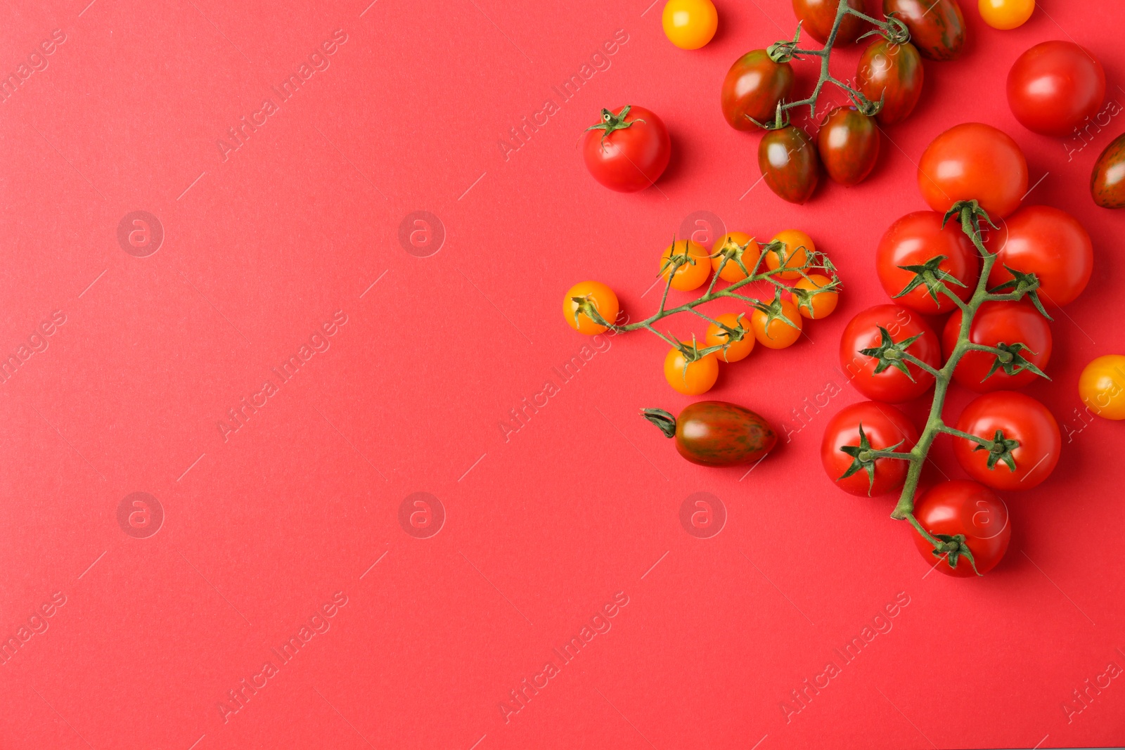 Photo of Flat lay composition with fresh ripe tomatoes on red background. Space for text