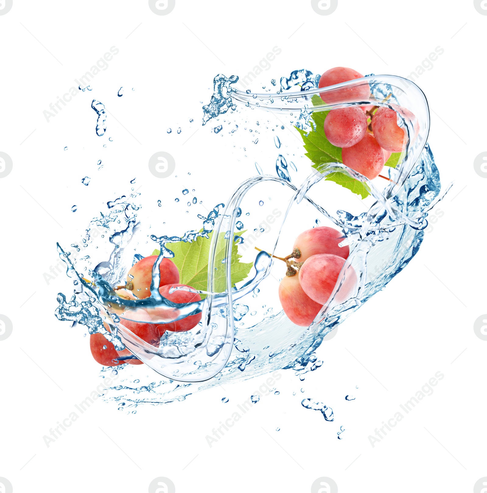 Image of Grapes with water splash on white background