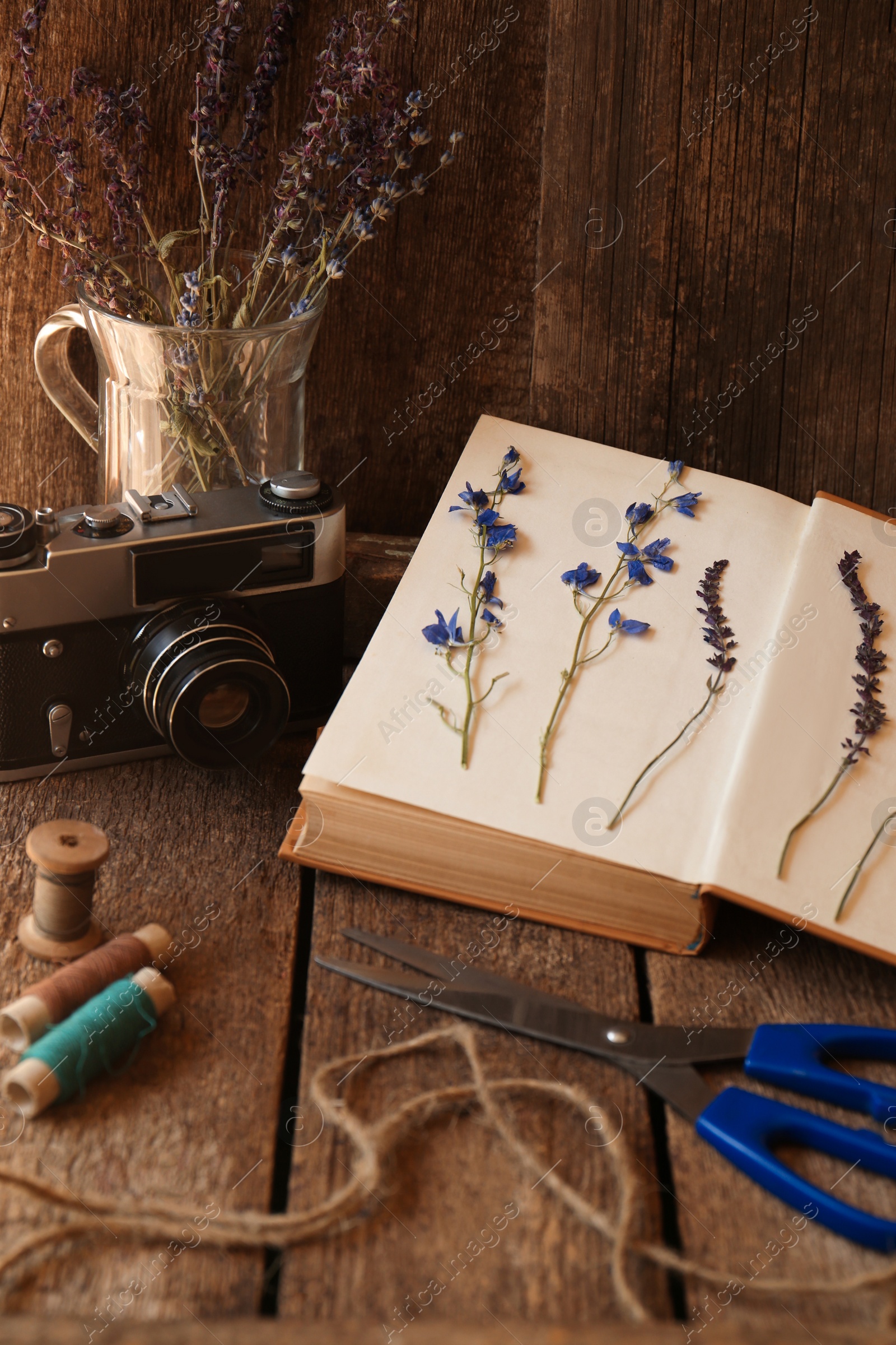 Photo of Composition with beautiful dried flowers and vintage camera on wooden table