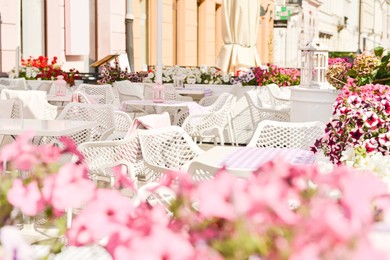 Outdoor cafe with beautiful flowers and comfortable furniture