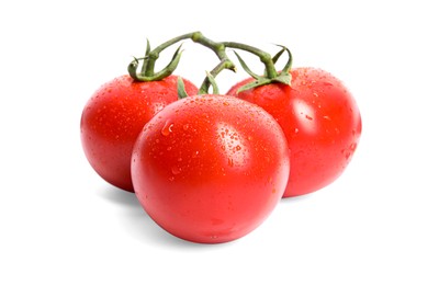 Photo of Branch of ripe red tomatoes on white background