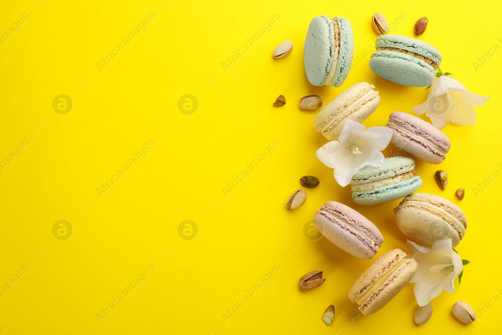 Photo of Flat lay composition with macarons, white bellflowers and pistachios on yellow background. Space for text