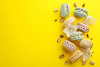 Photo of Flat lay composition with macarons, white bellflowers and pistachios on yellow background. Space for text