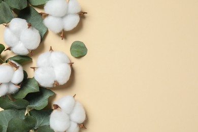 Photo of Cotton flowers and eucalyptus leaves on beige background, flat lay. Space for text