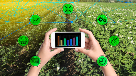Image of Modern agriculture. Woman with smartphone in field and icons, closeup