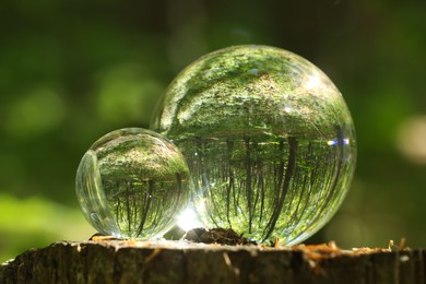 Photo of Green trees outdoors, overturned reflection. Crystal balls on stump in forest