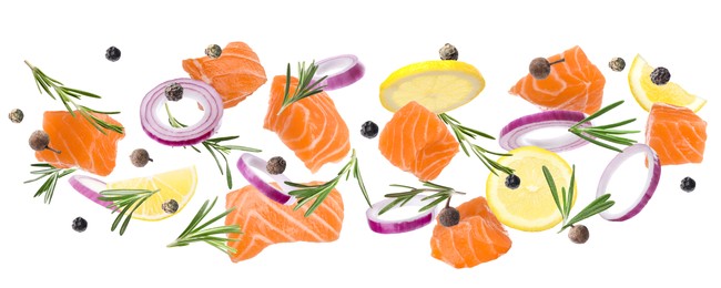 Image of Pieces of delicious fresh raw salmon and different spices on white background. Banner design 
