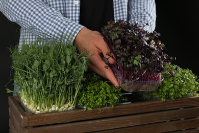 Photo of Man with wooden crate of different fresh microgreens on black background, closeup