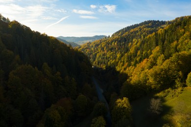 Aerial view of beautiful mountain forest with road on autumn day