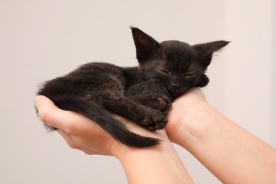 Woman holding cute black kitten on light background, closeup