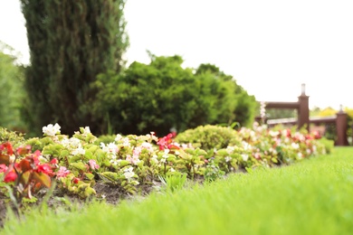 Photo of Picturesque landscape with beautiful green lawn on sunny day. Gardening idea