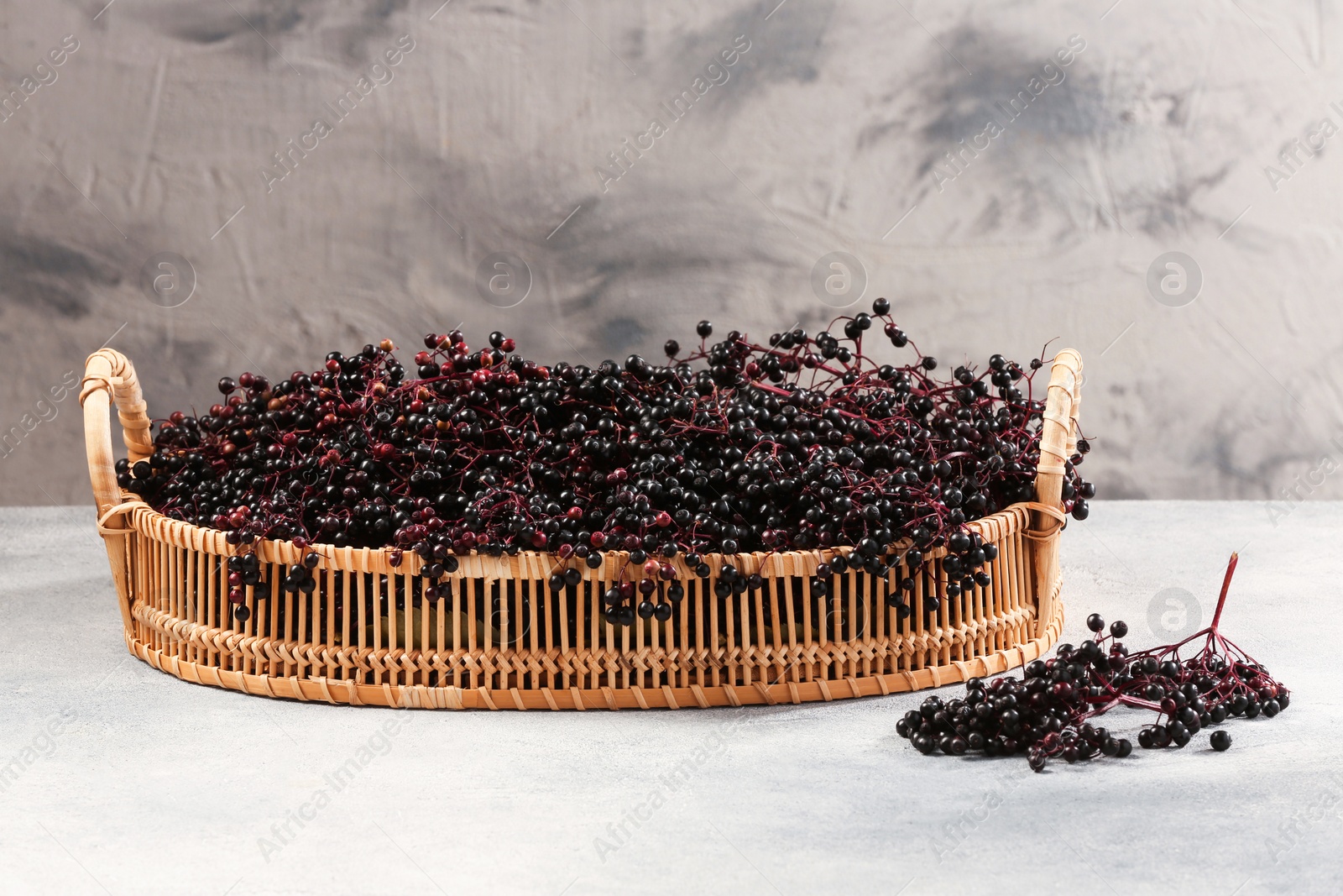 Photo of Wicker basket with ripe elderberries on light grey table