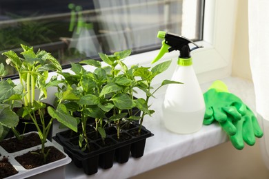 Photo of Seedlings growing in plastic containers with soil, spray bottle and rubber gloves on windowsill indoors