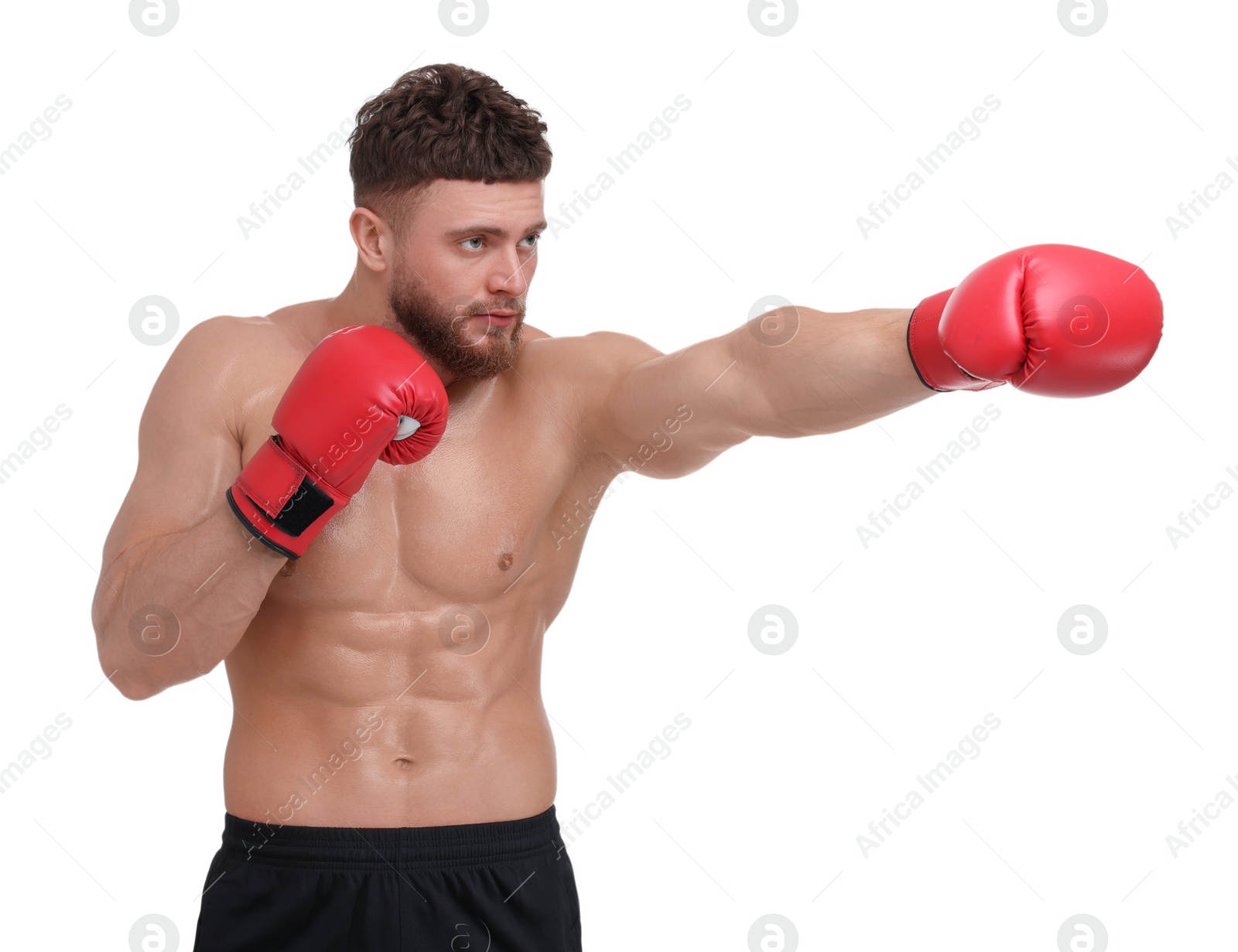 Photo of Man in boxing gloves fighting on white background