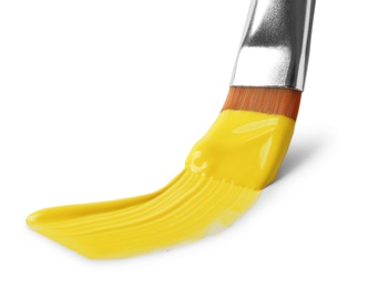 Photo of Brush with color paint and stroke on white background