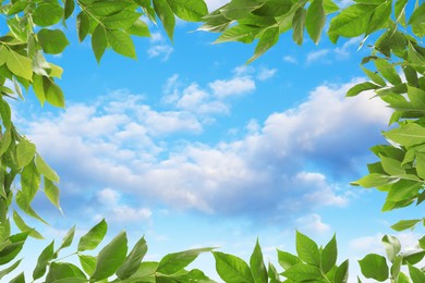 Image of Beautiful blue sky with clouds, view through vibrant green leaves