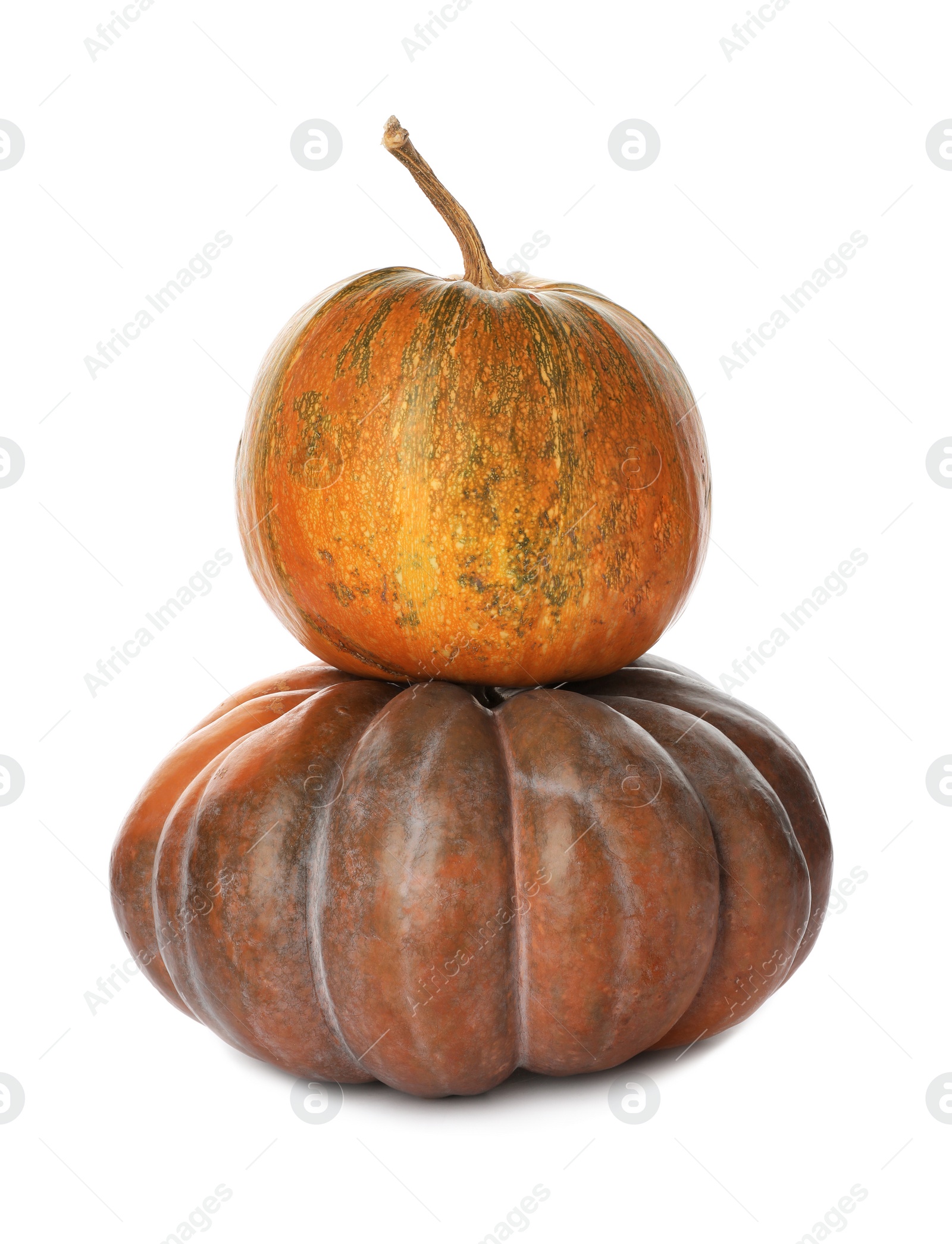 Photo of Stacked fresh raw pumpkins isolated on white