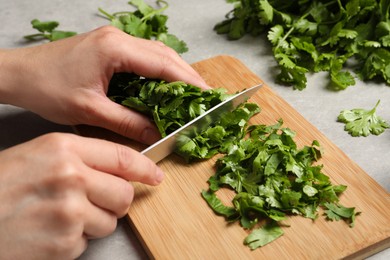 Photo of Woman cutting fresh green cilantro at light grey table, closeup