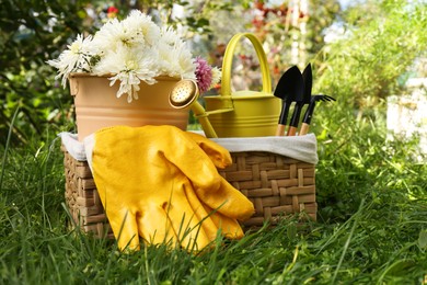 Wicker basket with gardening gloves, flowers and tools on grass outdoors