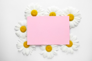 Beautiful chamomile flowers and blank card with space for text on white background, top view