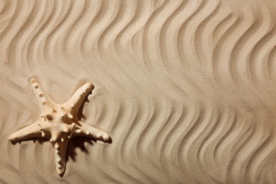 Starfish on beach sand, top view. Space for text