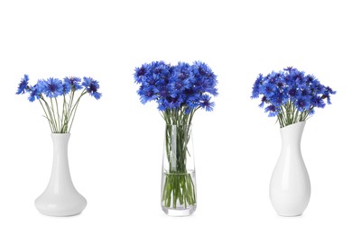 Set with beautiful blue cornflowers in vases on white background 