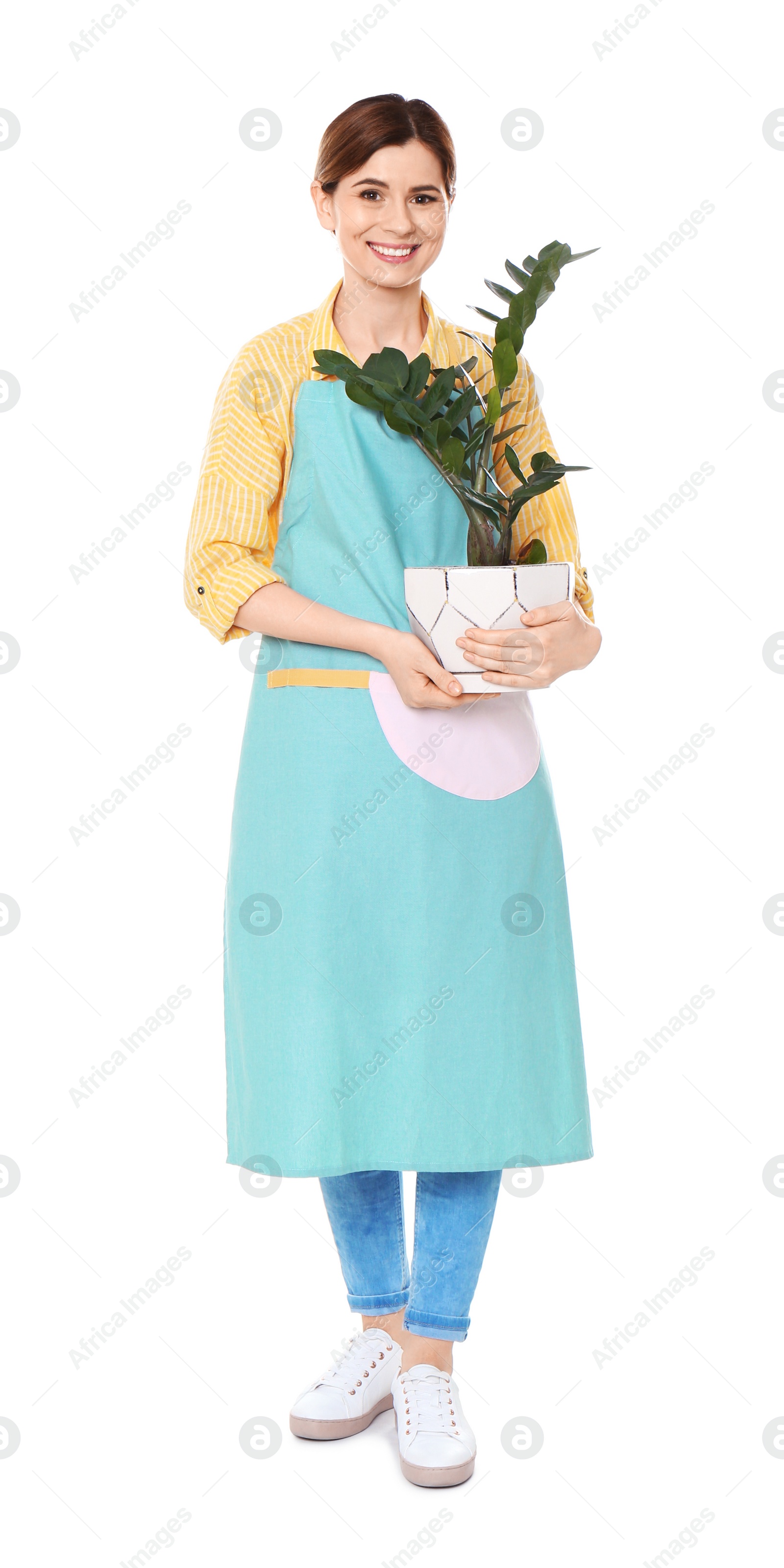 Photo of Female florist holding houseplant on white background