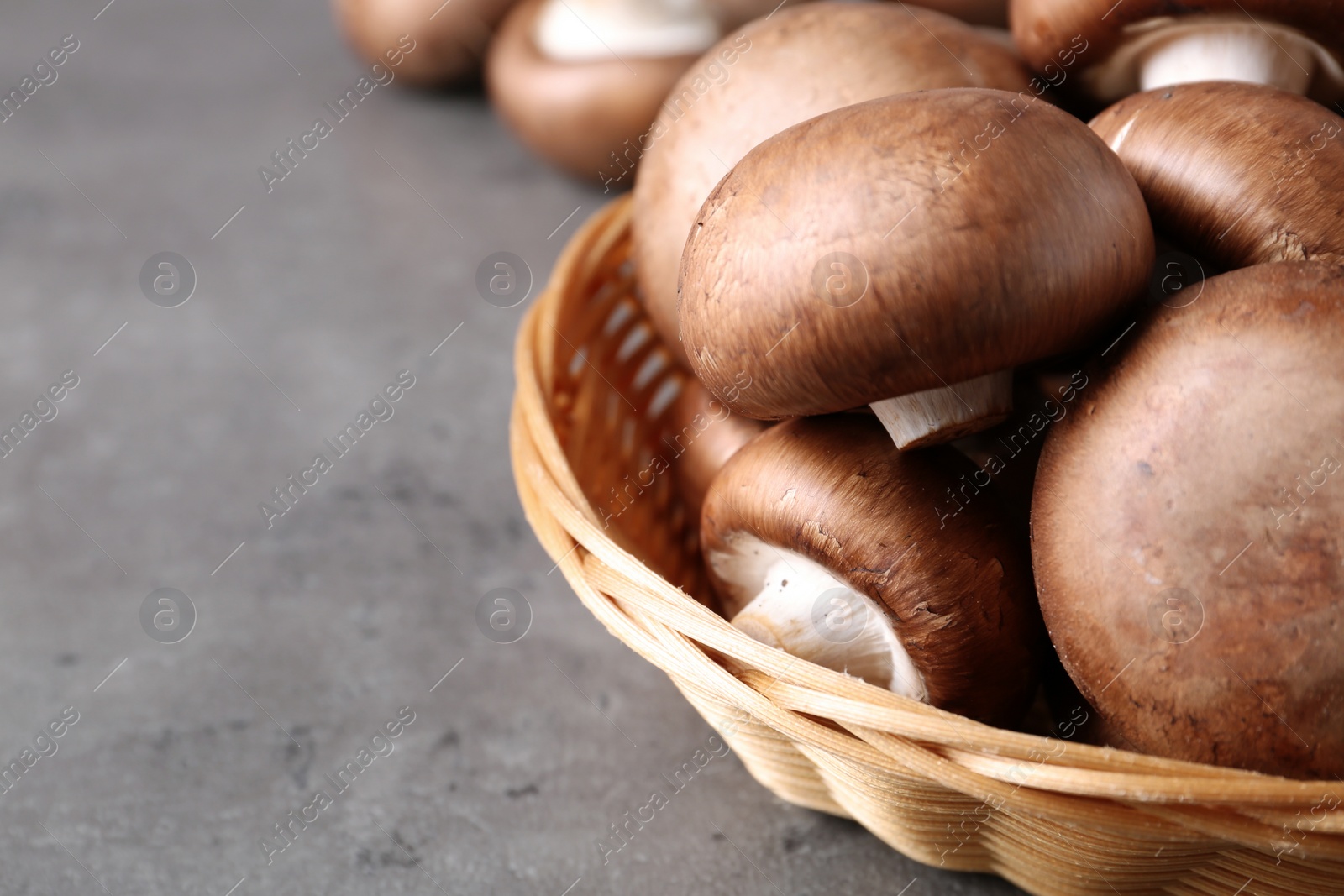 Photo of Wicker bowl of fresh champignon mushrooms on table, closeup. Space for text