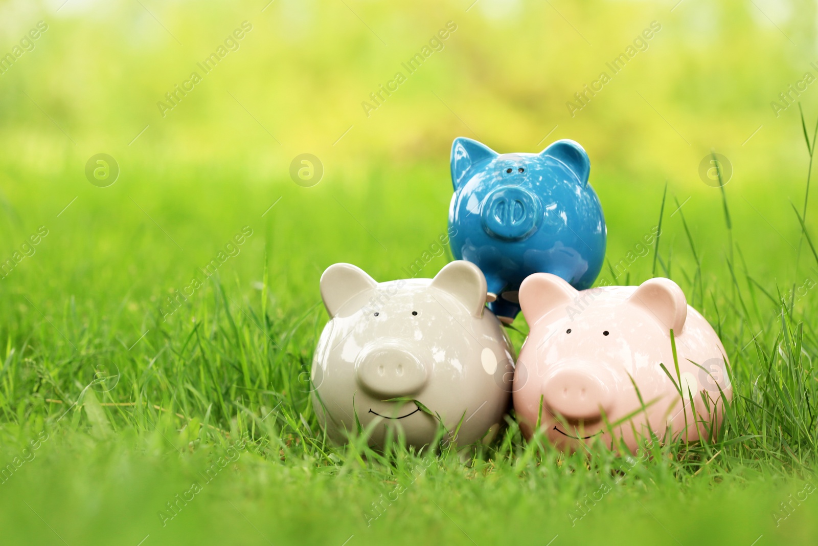 Photo of Piggy banks on green grass in park, space for text