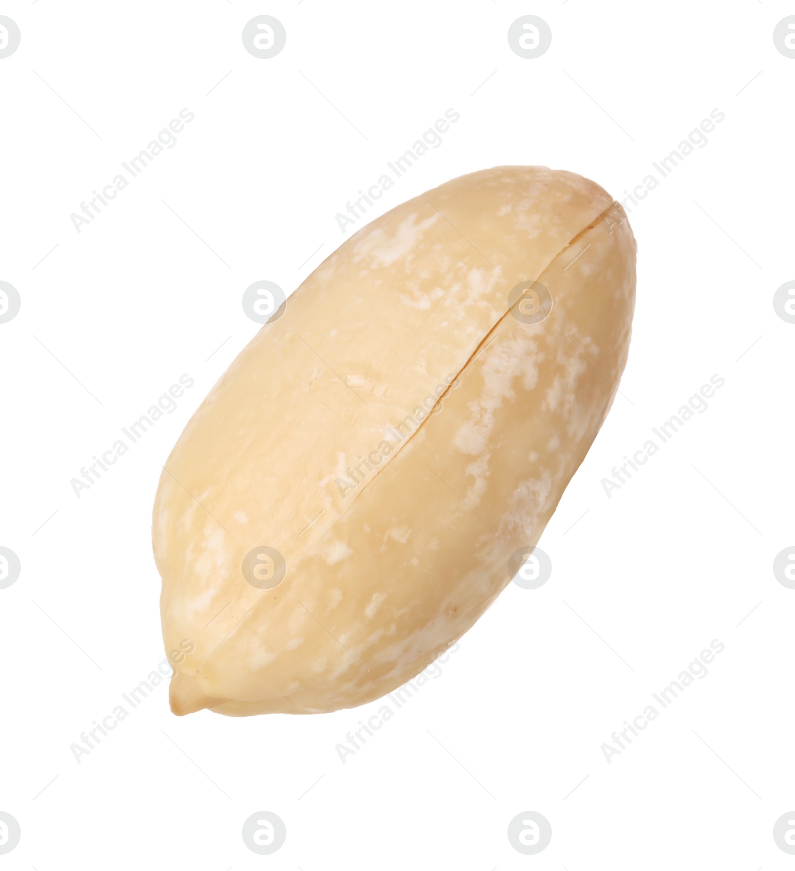 Photo of One fresh peeled peanut isolated on white