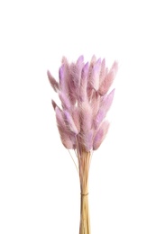 Photo of Bouquet of dried flowers on white background