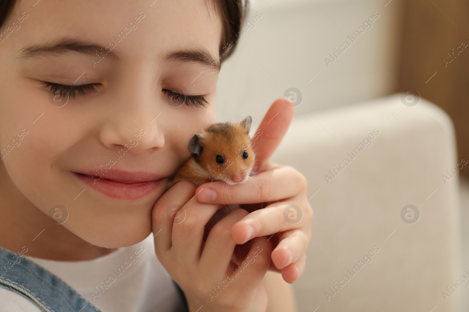 Photo of Little girl hugging cute hamster at home, closeup