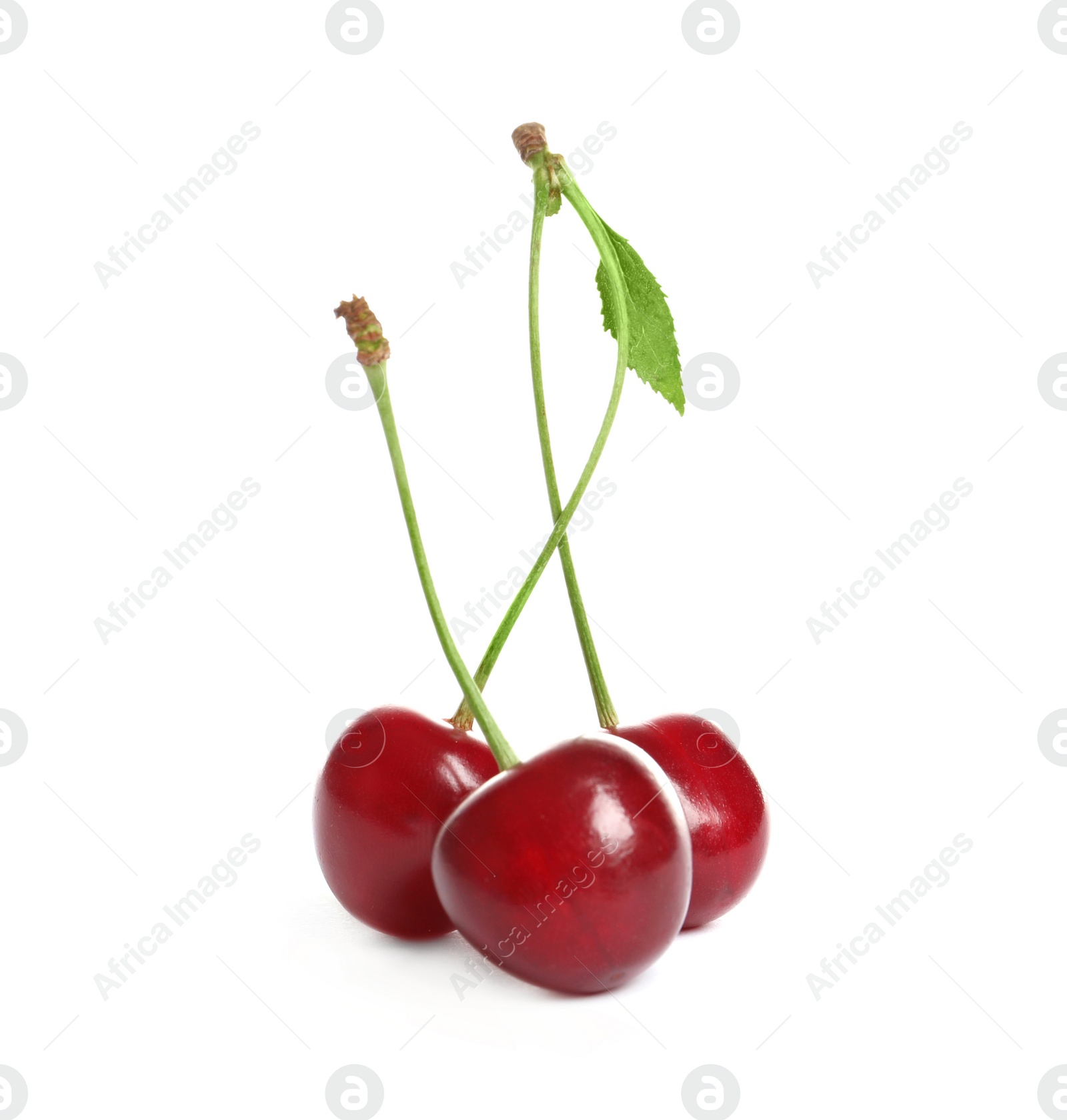 Photo of Delicious ripe sweet cherries on white background