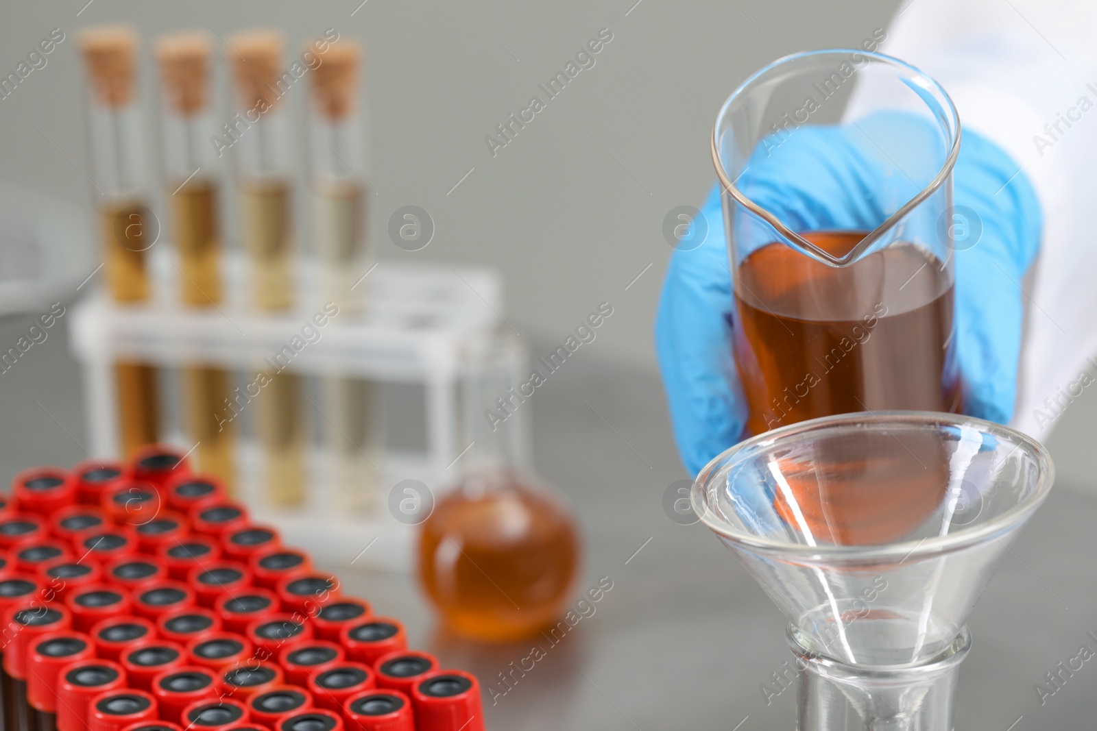 Photo of Scientist pouring liquid from beaker into conical flask, closeup. Space for text