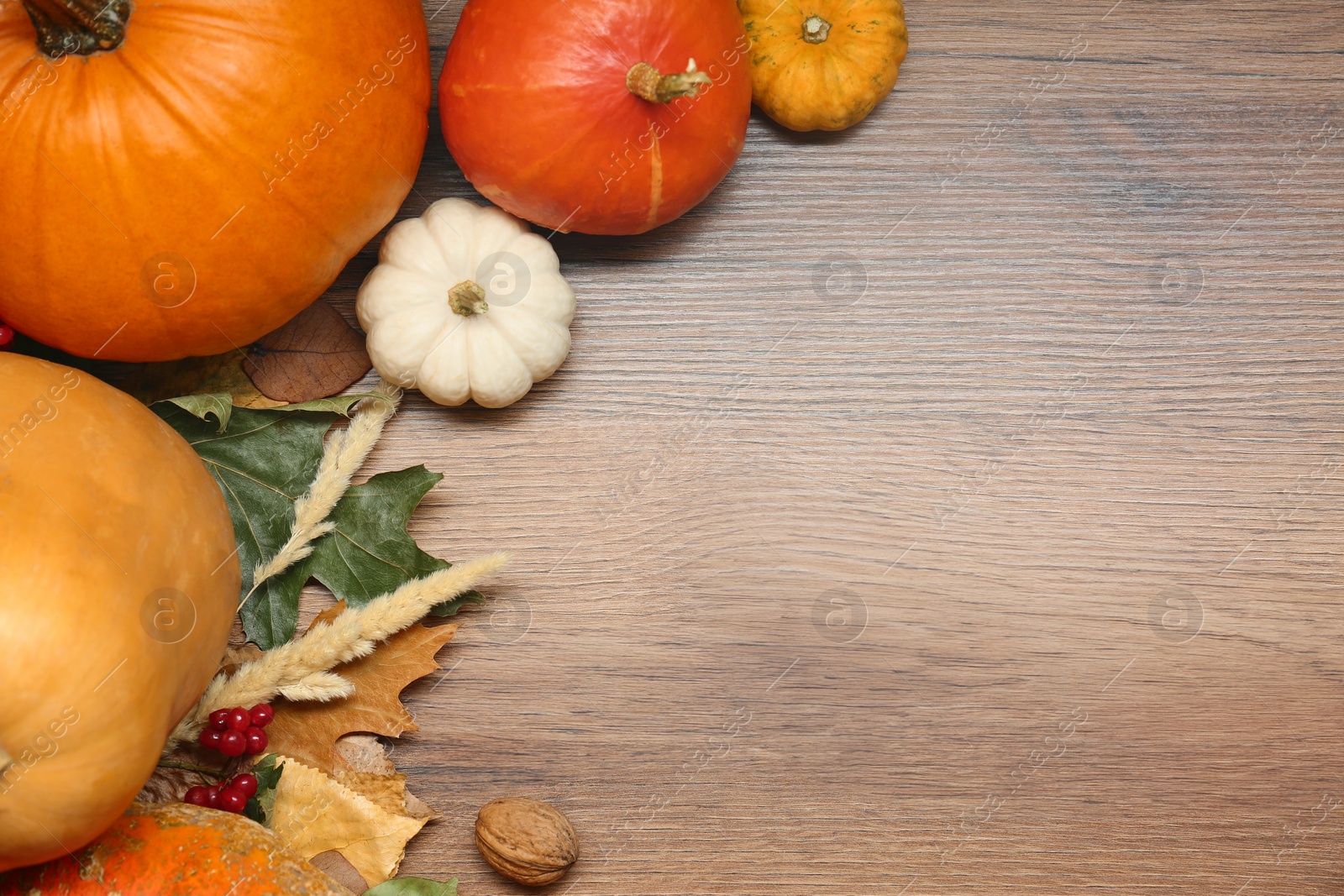 Photo of Thanksgiving day. Flat lay composition with pumpkins and leaves on wooden table, space for text