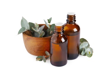 Photo of Bottles of eucalyptus essential oil and bowl with plant branches on white background