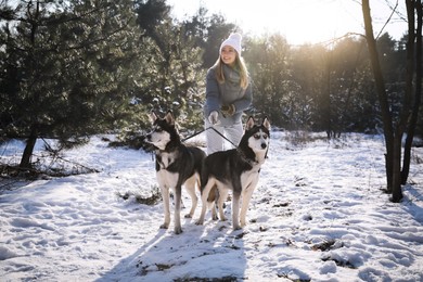 Photo of Young woman with dogs in forest on winter day