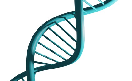 Structure of DNA on white background. Illustration